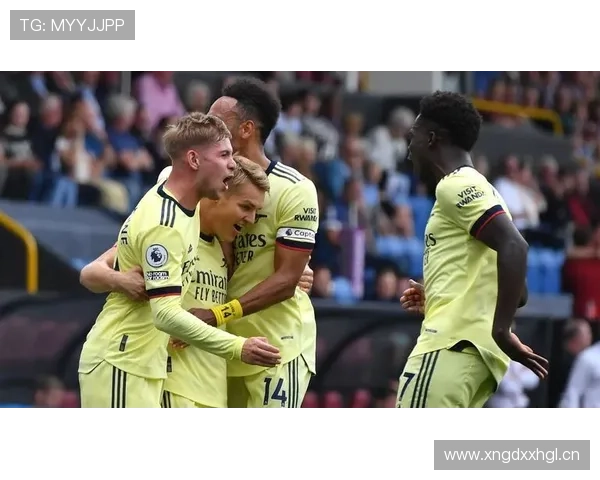 奥德加德技术特点