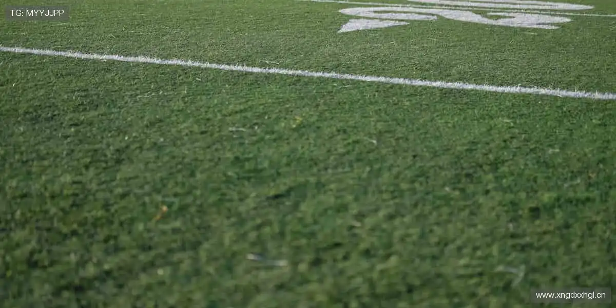 汗水与荣耀交织,🏆 见证历史,你就是传奇故事的一部分!